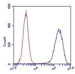 SDHA Antibody in Flow Cytometry (Flow)