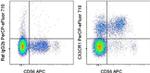 CX3CR1 Antibody in Flow Cytometry (Flow)