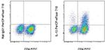 IL-13 Antibody in Flow Cytometry (Flow)