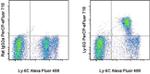 Ly-6G Antibody in Flow Cytometry (Flow)