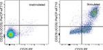 CD278 (ICOS) Antibody in Flow Cytometry (Flow)