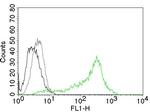 Nucleolin (Marker of Human Cells) Antibody in Flow Cytometry (Flow)