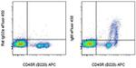 IgM Antibody in Flow Cytometry (Flow)