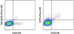 CD357 (AITR/GITR) Antibody in Flow Cytometry (Flow)