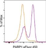 PARP1 (cleaved Asp214) Antibody in Flow Cytometry (Flow)