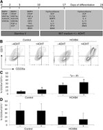 CD235a (Glycophorin A) Antibody in Flow Cytometry (Flow)