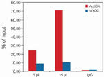 H3K9acS10ph Antibody in ChIP Assay (ChIP)