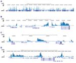 H3K79me3 Antibody in ChIP-Sequencing (ChIP-seq)