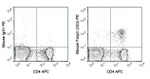 FOXP3 Antibody in Flow Cytometry (Flow)