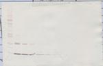 Leptin Antibody in Western Blot (WB)