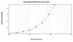 KGF Antibody in ELISA (ELISA)