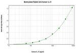 IL-31 Antibody in ELISA (ELISA)