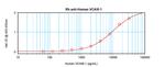 VCAM-1 Antibody in ELISA (ELISA)