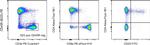 CD4 Antibody in Flow Cytometry (Flow)