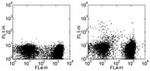 CD11c Antibody in Flow Cytometry (Flow)