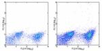 CD133 (Prominin-1) Antibody in Flow Cytometry (Flow)