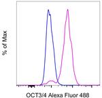 OCT3/4 Antibody in Flow Cytometry (Flow)