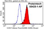 CCR7 Antibody in Flow Cytometry (Flow)