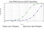 Phospho-PPAR gamma (Ser273) Antibody in ELISA (ELISA)