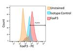 Foxp3 Antibody in Flow Cytometry (Flow)