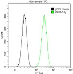 Galectin-3 Antibody in Flow Cytometry (Flow)