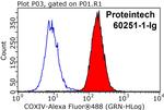 COXIV Antibody in Flow Cytometry (Flow)