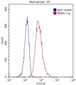 TIM3 Antibody in Flow Cytometry (Flow)