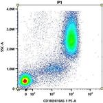 CD10 Antibody in Flow Cytometry (Flow)