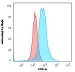ROR-gamma/RORC (RAR-related Orphan Receptor C) Antibody in Flow Cytometry (Flow)