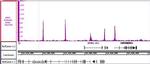 BRD2 Antibody in ChIP-Sequencing (ChIP-Seq)