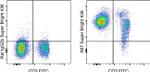 CD44 Antibody in Flow Cytometry (Flow)