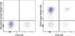 CD4 Antibody in Flow Cytometry (Flow)