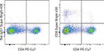 CD8a Antibody in Flow Cytometry (Flow)