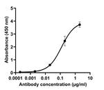 Human IgG (Gamma chain) Cross-Adsorbed Secondary Antibody in ELISA (ELISA)