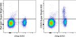 CD25 Antibody in Flow Cytometry (Flow)