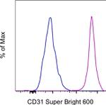 CD31 (PECAM-1) Antibody in Flow Cytometry (Flow)