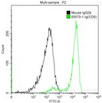 CD9 Antibody in Flow Cytometry (Flow)