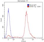 CD61 Antibody in Flow Cytometry (Flow)