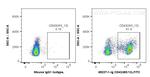 CD43 Antibody in Flow Cytometry (Flow)