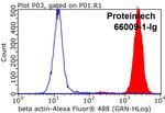 beta Actin Antibody in Flow Cytometry (Flow)