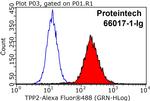 TPPII Antibody in Flow Cytometry (Flow)