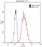 CA9 Antibody in Flow Cytometry (Flow)