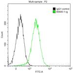 SURVIVIN Antibody in Flow Cytometry (Flow)