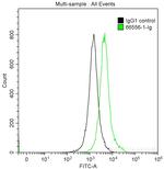 BCL10 Antibody in Flow Cytometry (Flow)