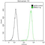 CALD1 Antibody in Flow Cytometry (Flow)