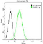 CD81 Antibody in Flow Cytometry (Flow)