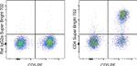 CD4 Antibody in Flow Cytometry (Flow)