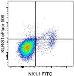 KLRG1 Antibody in Flow Cytometry (Flow)