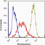 Phospho-AKT1 (Ser473) Antibody in Flow Cytometry (Flow)