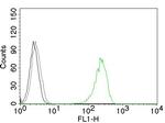 CD71/Transferrin Receptor (TFRC) Antibody in Flow Cytometry (Flow)